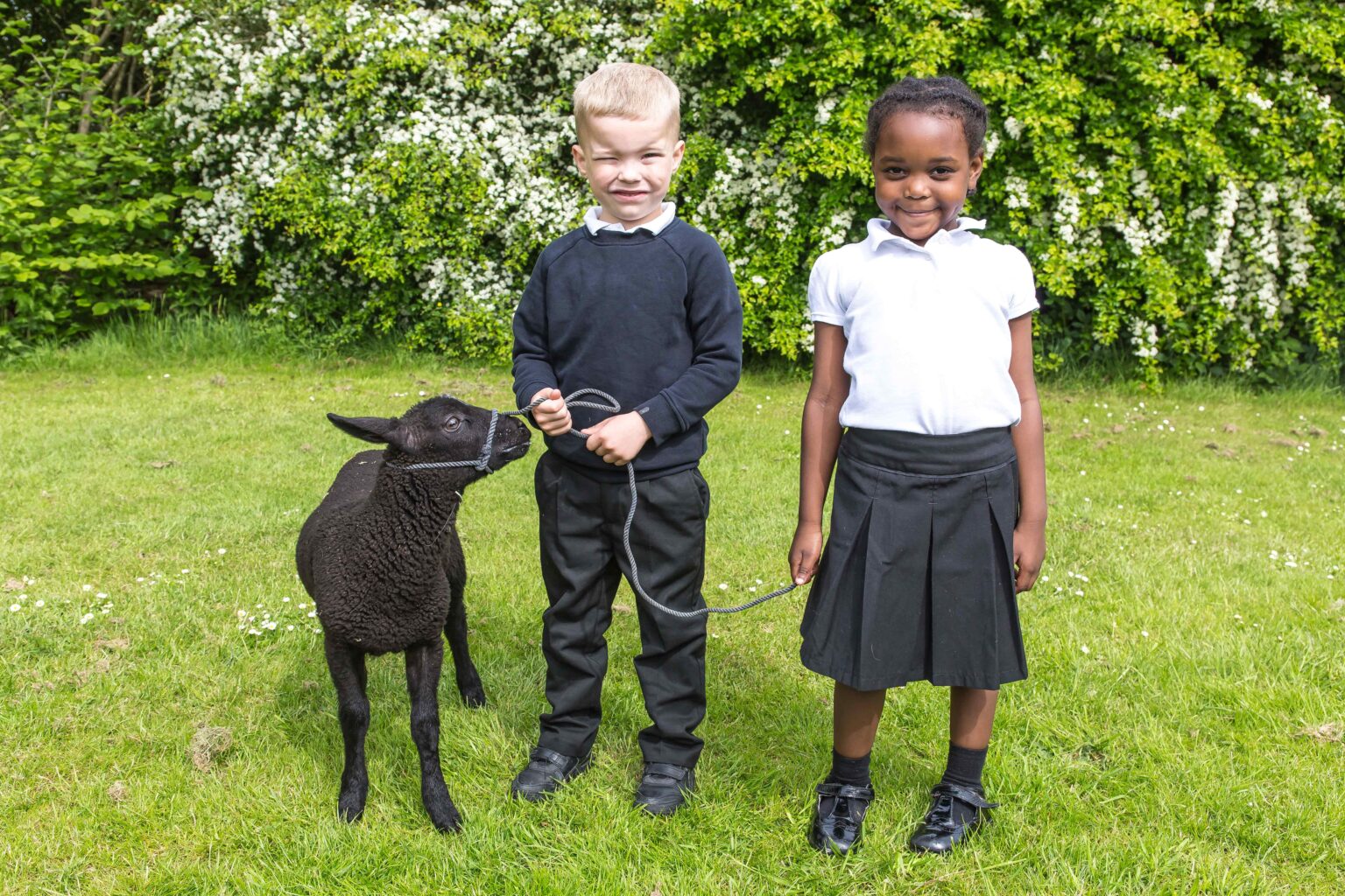 Farm on Wheels Bloxwich Academy